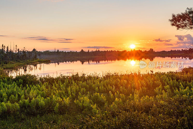 Muskoka Torrance Barrens暗天保护区和高地池塘，Gravenhurst，加拿大